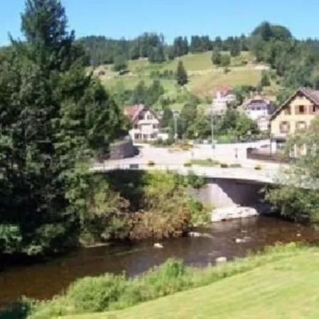 Apartman Appartementhaus Wiesengrund - Ferienwohnung 1 *