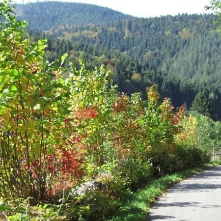 Appartementhaus Wiesengrund - Ferienwohnung 1 * Baiersbronn